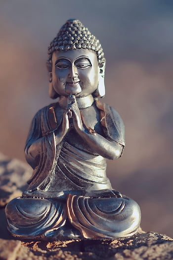 Buddha, buddhismus, náboženství, Hind, hinduismus, rozjímání, zen, Buddha Purnima, duchovní, duchovno, mír
