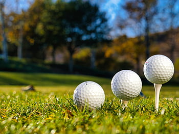 golfové míčky, odpaliště, zelená tráva, slunečný den, kurz golfu, venkovní rekreace, sportovní vybavení, golf, golfové míčky na odpalištích, jasný den, zelené pole