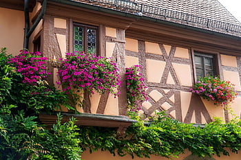 half-timbered House, architecture, facade, nature, flower Background, beautiful Flowers, floral Decorations, flower Wallpaper, flowers