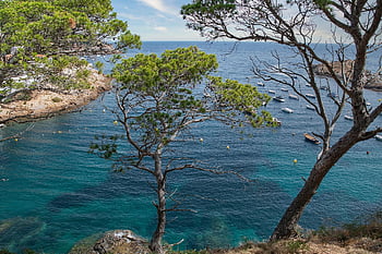 moře, Příroda, borovice, pobřeží, vegetace, Krystalická voda, begur, costa brava, Španělsko, krajina