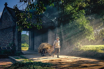Stråtransport, Village Gateway, landbrukssone, Landsbygda, tradisjonell transport