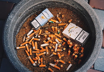 kouření, popelník, cigaret, závislost, tabák, nikotin, smrt, kouř, kuřák, zabíjí