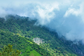 devil's Staircase, sri Lanka Tea Estate, scenery, forest, mac Wallpaper, scenic, wallpaper Hd, background, windows Wallpaper, laptop Wallpaper, Wallpaper 1920x1080