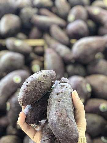 sweet Potatoes, purple Yams, purple Sweet Potatoes, grocery, tubers, potatoes, vegetable, food, produce, market, healthy
