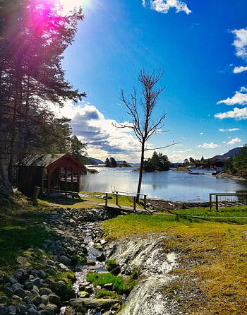 magic, fairytale, lake, trees, reflection, sun, clouds, breathtaking, calm, spring, tranquility