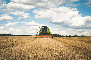 green tractor, harvesting wheat, vast open field, bright cloudy sky, agricultural machinery, farm equipment, rural landscape, wheat field, combine harvester, farming scene, agricultural scene