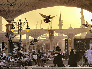 Medina, Al-Masjid an-Nabawi, Sonnenuntergang, Tauben, Frieden, Moschee, islamische Architektur, Saudi Arabien, heilige Stätte, religiös, Reise