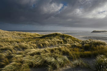 krajobraz przybrzeżny, wydmy, burzliwe niebo, Den Burg, Holandia, zielone trawy, szare chmury, dramatyczna scena, naturalna sceneria, Środowisko plażowe, pochmurna pogoda