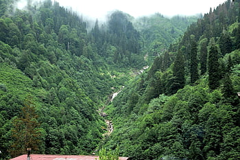 nature, view, waterfall, outdoors, travel, exploration