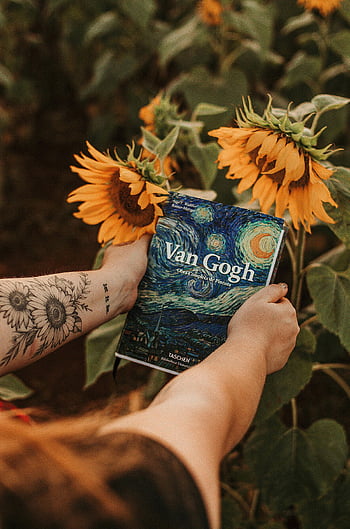 van gogh, rezervovat, slunečnice, zahrada, osoba drží, kvetoucí slunečnice, van gogh kniha, venkovní scénu, kniha o umění, Příroda, květinové pozadí