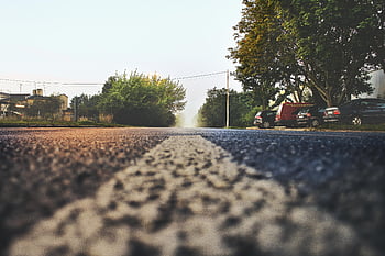 Foggy Suburban Street, zaparkovaná auta, mlhavé ráno, stromy, černý sedan, příměstské čtvrti, mlhavá atmosféra, Street View, zaparkovaných vozidel, Předměstská krajina, ranní mlha