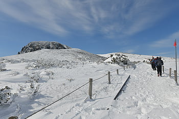 jeju, mt Hanlla, winter, republic Of Korea, landscape, snow, snow Mountain, winter Mountain