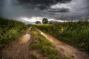 strada sterrata, montagna, erba, scena rurale, Pista fangosa, nuvole di tempesta, vegetazione vibrante, paesaggio lunatico, campagna, natura, all'aperto