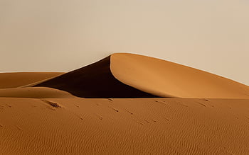 desert, sand, dune, sunset, sahara, africa, nature, landscape