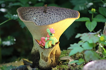 můj malý poník, hračka, děti, jednorožec, magie, roztomilý, Příroda, krajina, les, rozkošný, hrát