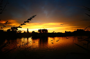evening, sky, dusk, clouds, warm, orange, climate, sunset, sun, dawn, landscape