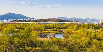 river, countryside, daegu, scenery, nature, landscape, panorama, mountain, south Korea, republic Of Korea
