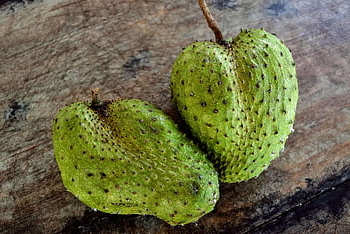 soursop, fruit, ripe Fruit, organic Fruit, indonesia, sirsak, natural, fresh, fruits, tropical, organic