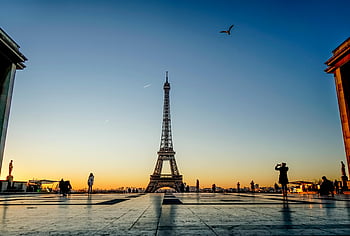 Eiffel Tower, sunrise, silhouettes, people, birds, Paris, France, capture, morning, landmark, travel