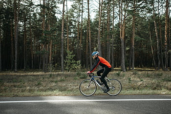 Muž na koni, černé kolo, silnice, cyklista, živé vybavení, silniční kolo, klidný les, nastavení, Venkovní cyklistika, Jízda na přírodu, silniční cyklistika