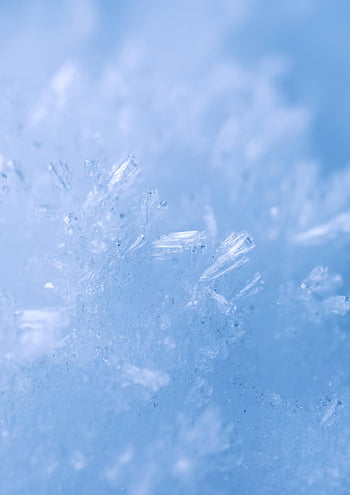 눈송이, 서리, 겨울, 얼음, 눈, 자연, 얼음 결정, 겨울 왕국, 매크로, 닫다, 결정체