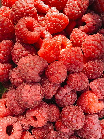 maliny, zbliżenie, wibrujący, świeży, czerwony, tekstura, kolor, owoc, jagody, makro, fotografia