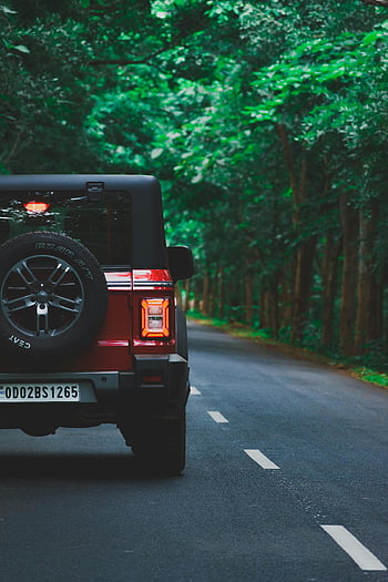 Mahindra Thar, jalan hutan, hijau subur, petualangan, eksplorasi, kendaraan off-road, perjalanan, alam, di luar ruangan, mobil