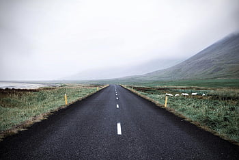 sort asfaltvej, grønt græs, tåget vej, Landdistrikter Island, Frodigt græs, bjerge, betagende udsigt, landlige landskab, naturskønne vej, landlige vej, tåget landskab