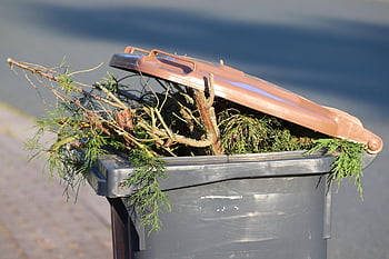 garbage Can, green Cut, brown Ton, waste, garbage, organic, garden Waste, disposal, recycling, plastic, environment
