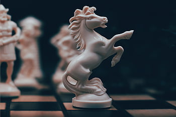 Schach, Schachritter, Ritter, Weißer Ritter, Königsritter, Ritter der Königin, Schachfiguren, Schachset, Schachbrett, Schachspiel, Spiel