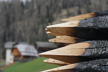 wood, firewood, forest, mountain, rural, alps, agriculture