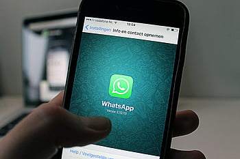 WhatsApp, applicazione, immagine dello schermo, smartphone, display, applicazione whatsapp, schermo, held, persona, mobile, App