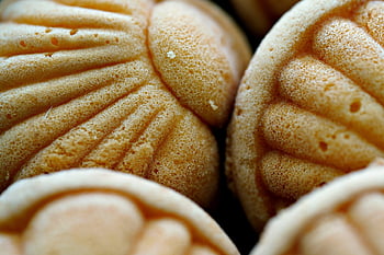 spuntino, biscotti, prima colazione, gustoso, cibo, forno, Shell sia