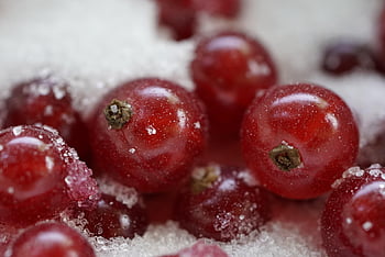 fruit, berries, food, sugar, sweet, sour, dessert, red, red Currant