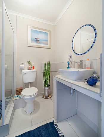 ciotola di toilette in ceramica bianca, muro di vetro, bagno moderno, infissi bianchi, arredamento minimalista, Lavello, gabinetto, Bagno pulito, piastrelle bianche, specchio rotondo, pianta in vaso