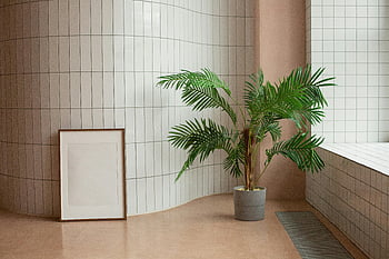 minimalistický interiér, Rostlinná rostlina, prázdný rámeček, kachlové stěny, Vnitřní design, zelená rostlina, moderní dekor, pokojové rostliny, minimalistický design, prázdný plakát, Vnitřní nastavení