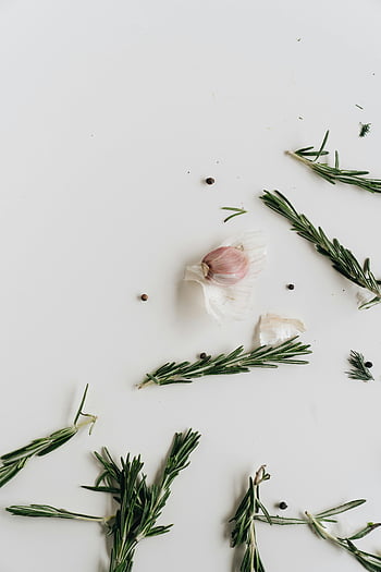 garlic, thymes, rosemary, peppercorns, white surface, minimalist arrangement, fresh herbs, close-up photo, culinary ingredients, natural spices, aromatic plants