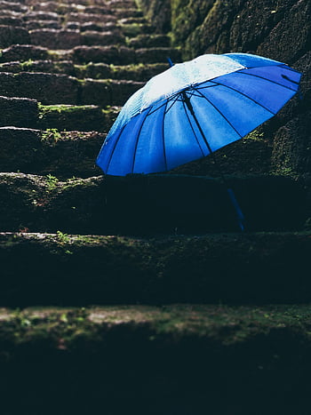 blue umbrella, black stairs, wet stone steps, moss-covered steps, rainy weather, vibrant blue, outdoor scene, stone staircase, umbrella reflection, rainy day, nature background