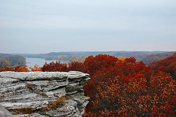 water, river, rock, cliff, trees, nature, landscape