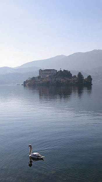 labuť, jezero, klidný pohled, klidná voda, vzdálený ostrov, odraz, hory, klidné scény, Přírodní krásy, volně žijících živočichů, vodní ptáci