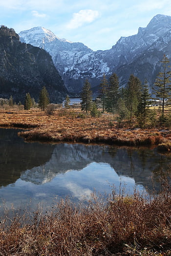 lake, mountains, reflection, bank, trees, water, snow, winter, wintry, cold, alpine
