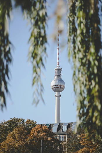 Berlin TV Tower, autumn leaves, clear day, iconic landmark, Berlin Germany, framed view, urban skyline, architectural marvel, fall season, cityscape photography, television tower