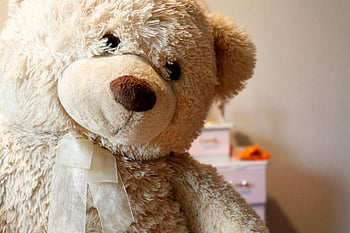 Medvídek, plyšová hračka, Medvěd hnědý, Fluffy Teddy, stuha, dětská výzdoba, detailní pohled, roztomilý teddy, vycpané zvíře, měkká hračka, medvěd plyš
