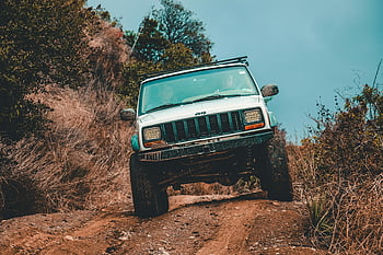 jeep blanche, suv, sentier tout-terrain, forêt dense, sentier boueux, jeep robuste, sentier difficile, aventure en plein air, 4x4 véhicule, Véhicule tout terrain, exploration de la nature