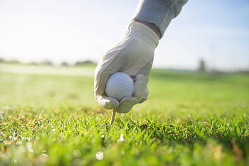 golf ball, hand, tee, sunlight, outdoors, close-up, golf glove, grass, golf course, sports, recreation