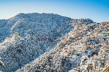 shimla, zimní, Budovy zakryté zasněžené, kopec, lesy, jasné modré nebe, pohled, sníh, architektura, horské město, zimní krajina