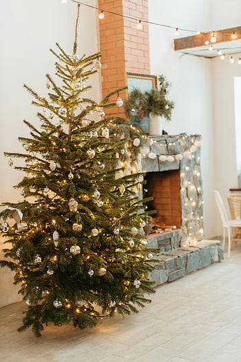 Christmas tree, festive fireplace, cozy home, holiday decorations, Christmas ornaments, indoor Christmas tree, home decor, Christmas lights, festive setting, holiday atmosphere, cozy living room