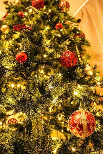 julgran, grannlåt, röda prydnadsföremål, gyllene ljus, närbild, dekorerade julgran, festliga dekorationer, semesterinredning, jul dekorationer, julbelysning, julgranor