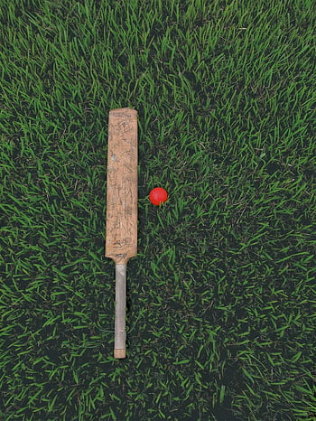 cricket bat, green grass, wooden stick, cricket ball, grassy field, top view, sports equipment, outdoor sports, cricket game, sports field, red ball