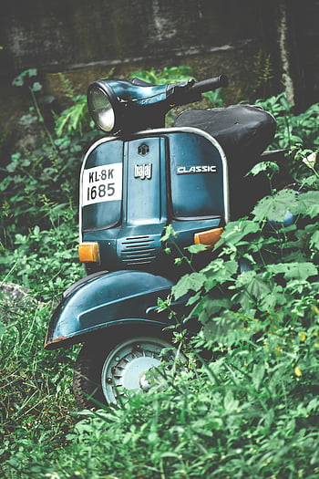 สกูตเตอร์ Bajaj, สกูตเตอร์ที่จอดอยู่, พืชเขียวชอุ่ม, การตั้งค่ากลางแจ้ง, การขนส่งย้อนยุค, Bajaj คลาสสิก, ป่า, สกู๊ตเตอร์วินเทจ, พฤกษชาติ, สกูตเตอร์ในธรรมชาติ, Bajaj Classic